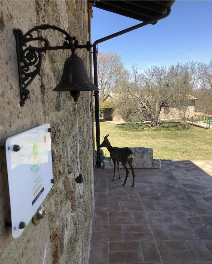Agriturismo Eco-Bio Villa Vacasio Pitigliano Luaran gambar