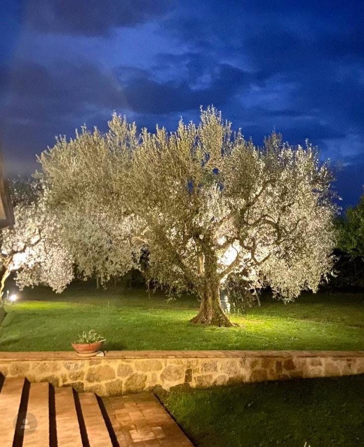 Agriturismo Eco-Bio Villa Vacasio Pitigliano Luaran gambar