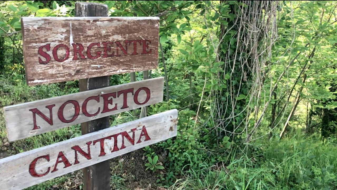 Agriturismo Eco-Bio Villa Vacasio Pitigliano Luaran gambar
