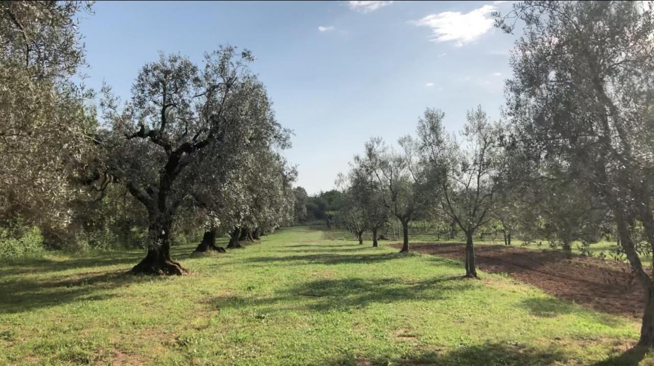 Agriturismo Eco-Bio Villa Vacasio Pitigliano Luaran gambar